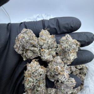 Kaufen Baguette Cherriez,medical marijuanas strains,buy marijuana bulk strains online,007 marijuana strain