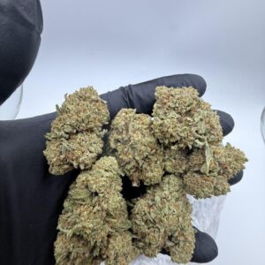 Kaufen Berry Cake Strain