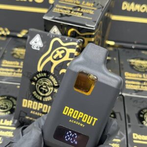 Kaufen Dropout Academy 3G