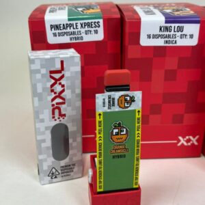 Kaufen Pixxl 1G Disposable