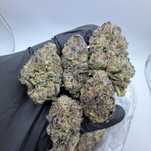 Kaufen Rainbow Road Strain