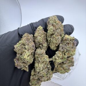 Kaufen Sherbet Pie,Rainbow sherbet 11,sherbet cream pie strain thc level