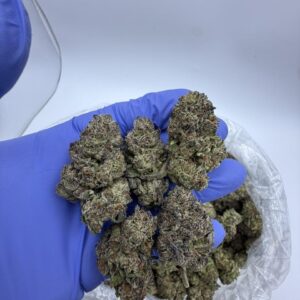 Kaufen Sunset Sherbert ,barneys farm blue sunset sherbert,leafly sunset sherbert​