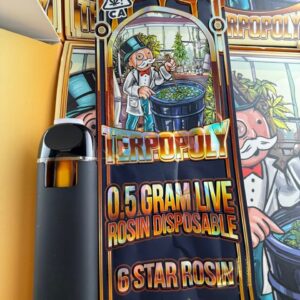Kaufen Terpopoly 0.5G Disposable,flying horse thc vape