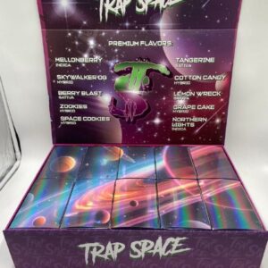 Kaufen Trap Space 2G Disposable