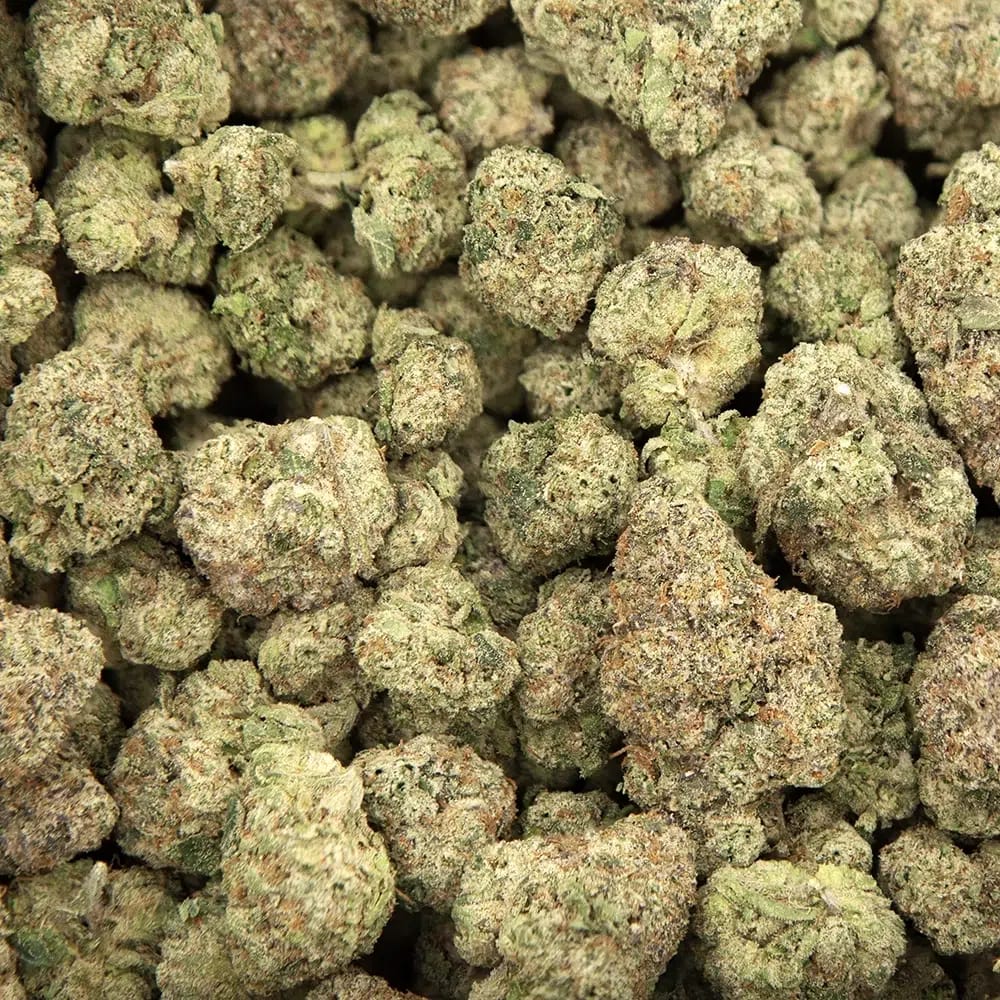 Kaufen Bubblegum Runtz